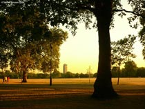 Hyde Park, London