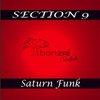 Section 9 - Saturn Funk EP